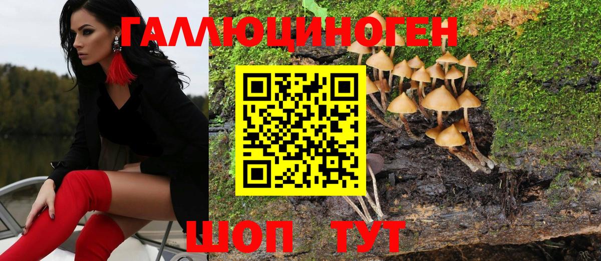Псилоцибиновые грибы мухоморы Рубцовск
