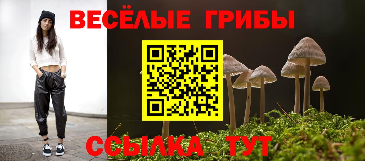 Рубцовск  Псилоцибиновые грибы GOLDEN TEACHER  Вход с VPN  Галлюциногенные грибы Magic Shrooms 